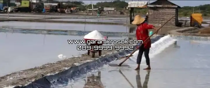 Garam Kasar Berkualitas Tinggi: Solusi Tepat untuk Kebutuhan Industri dan Rumah Tangga